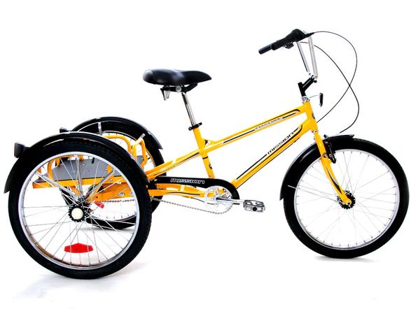 Industrial Cargo Trike - Adult Tricycle