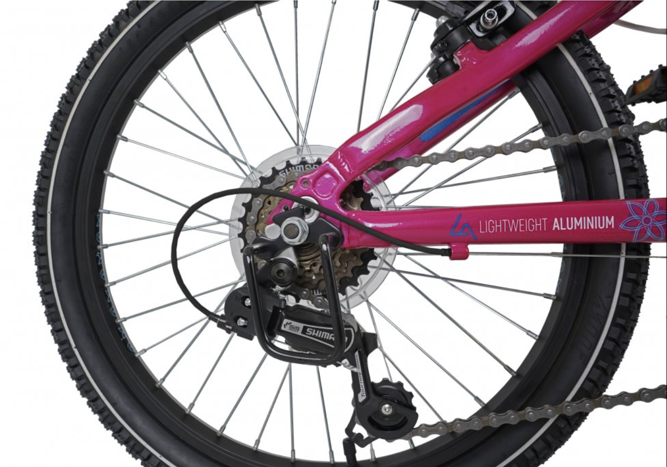 Dawes 20" Paris HT Kids Mountain Bike