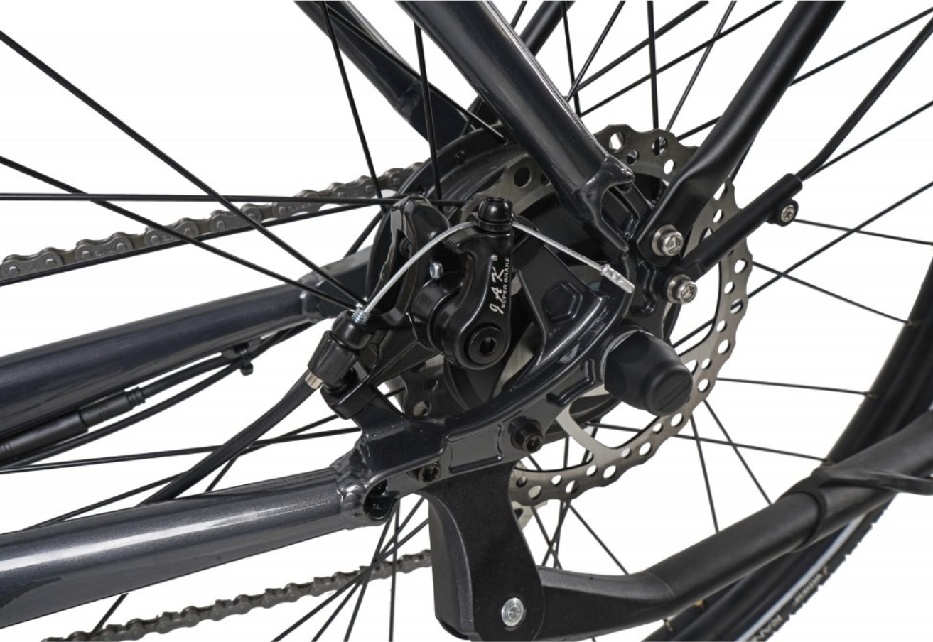 Dawes Scenic Low Step Electric Hybrid Bike