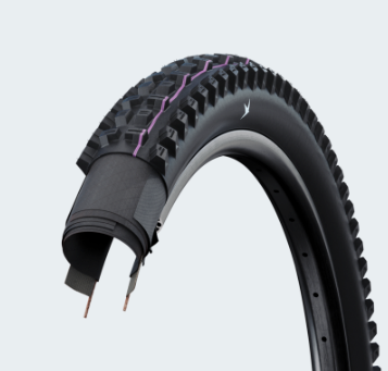 Schwalbe Gravity Pro Tacky Chan Radial Mountain Bike Tyre