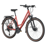 Bergamont vitess 30 AmsterdamCommuter/Trekking Bike