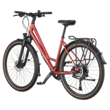 Bergamont vitess 30 AmsterdamCommuter/Trekking Bike