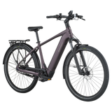 Bergamont  E-HORIZON TOUR 10 BELT Ebike