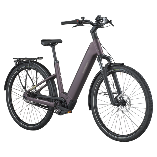 Bergamont  E-HORIZON TOUR 10 BELT Wave Ebike