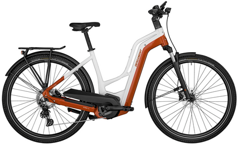 Bergamont E-Horizon Edition LTD Amsterdam Hybrid,Urban,City,Trekking EBIKE