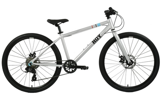 HOY Pentland 26 Kids Bike