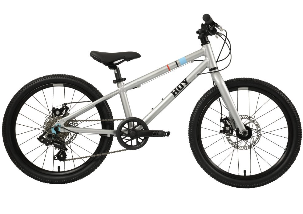 Pentland 20" Kids Bike