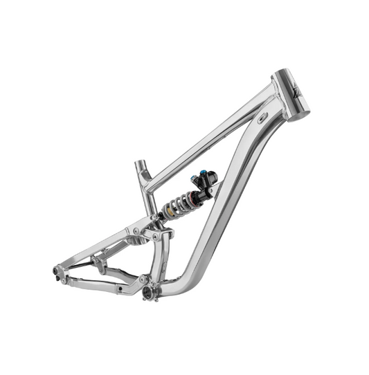 Zink Bike Vacay MTB Frame Polished