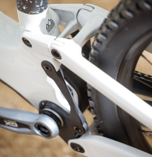 Scott Contessa Ransom 910 Carbon FOX 38 Float Downhill Mountain Bike