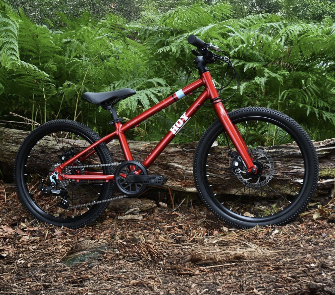 Hoy Pentland 24" Kids Bike