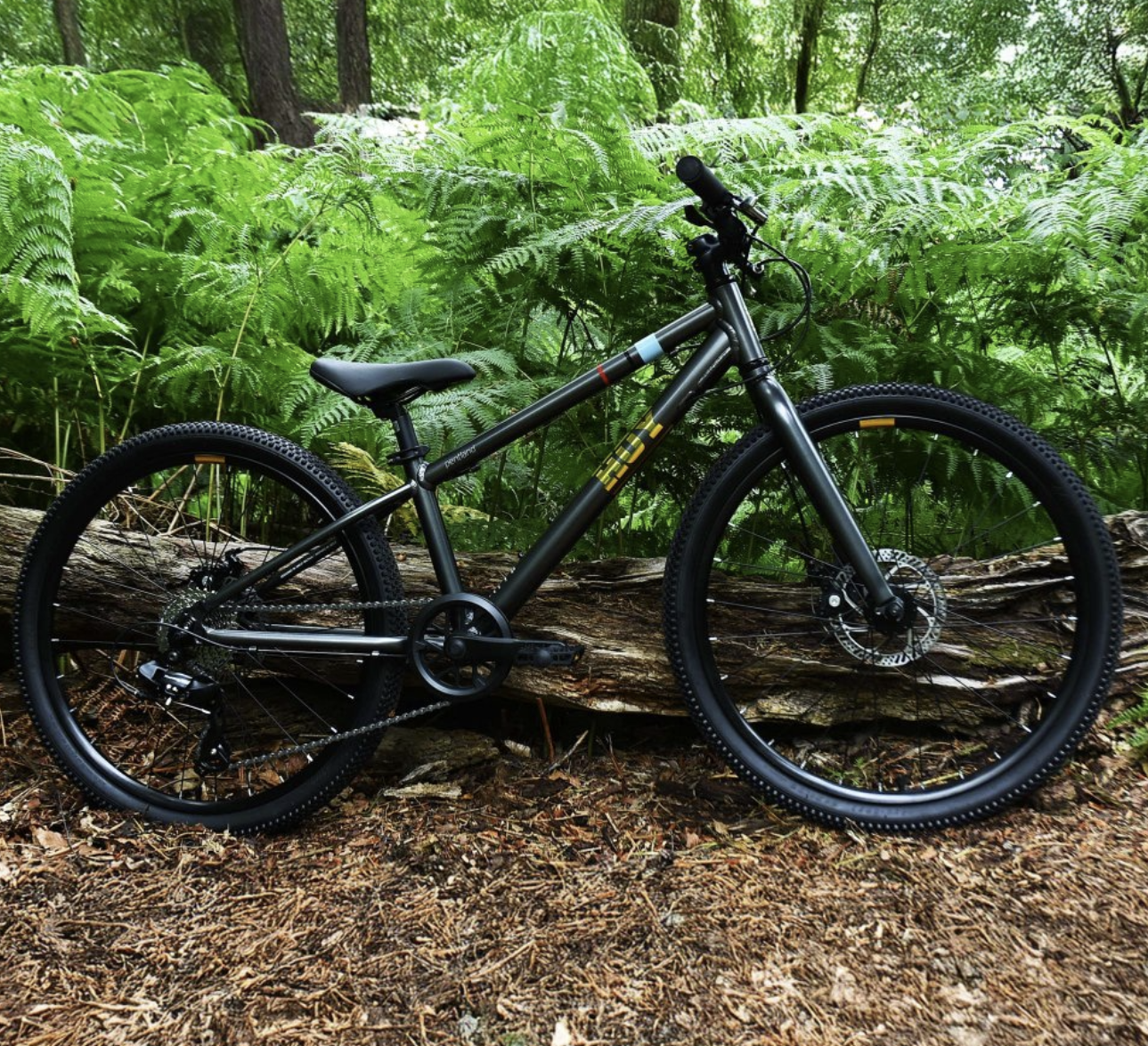 Hoy Pentland 24" Kids Bike