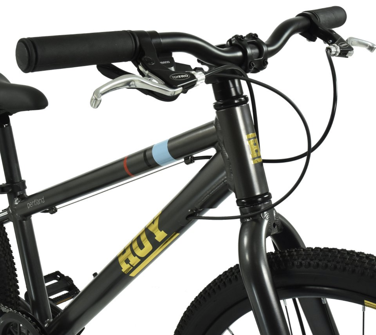 Hoy Pentland 24" Kids Bike