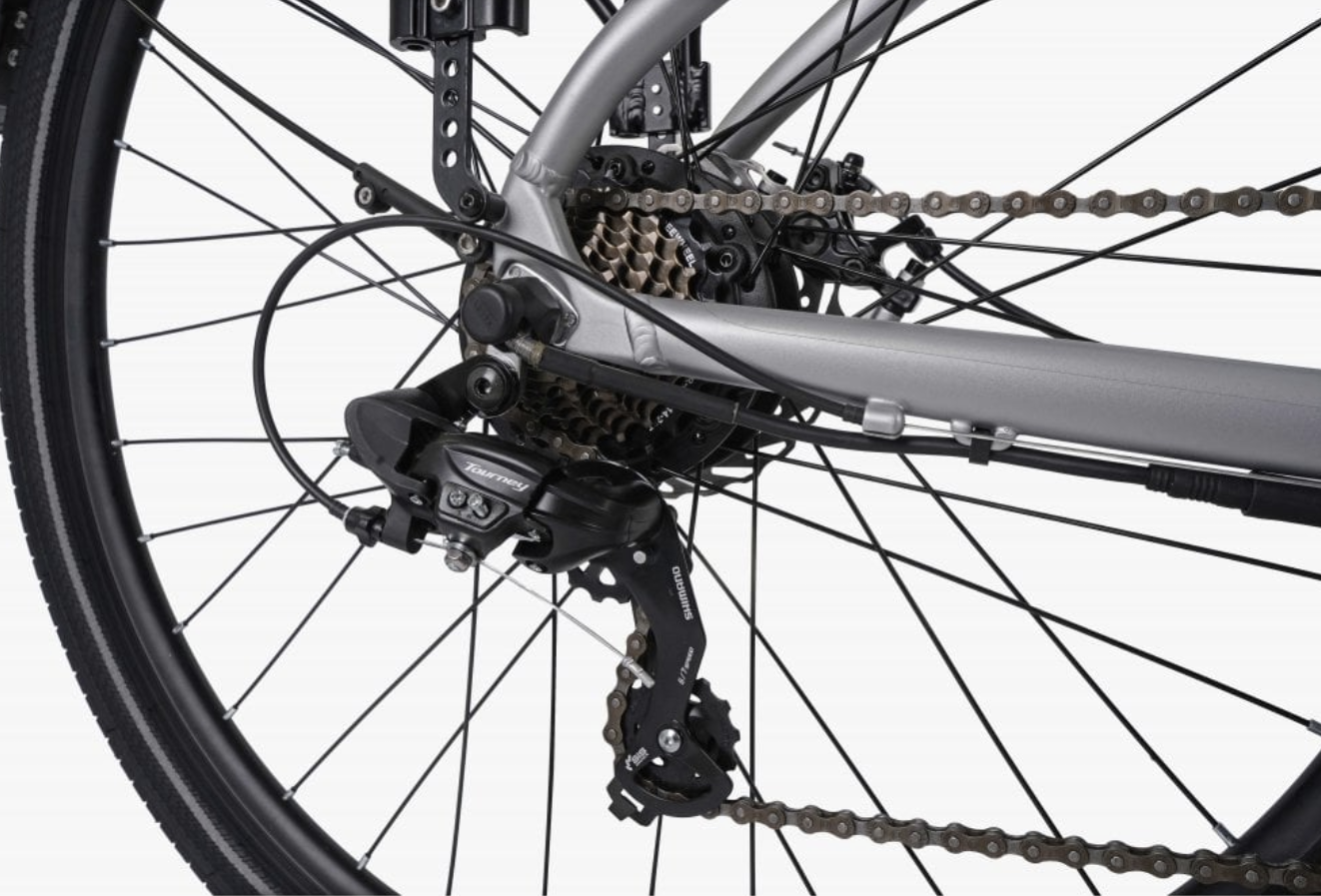 Horizon Low Step Electric Hybrid Bike