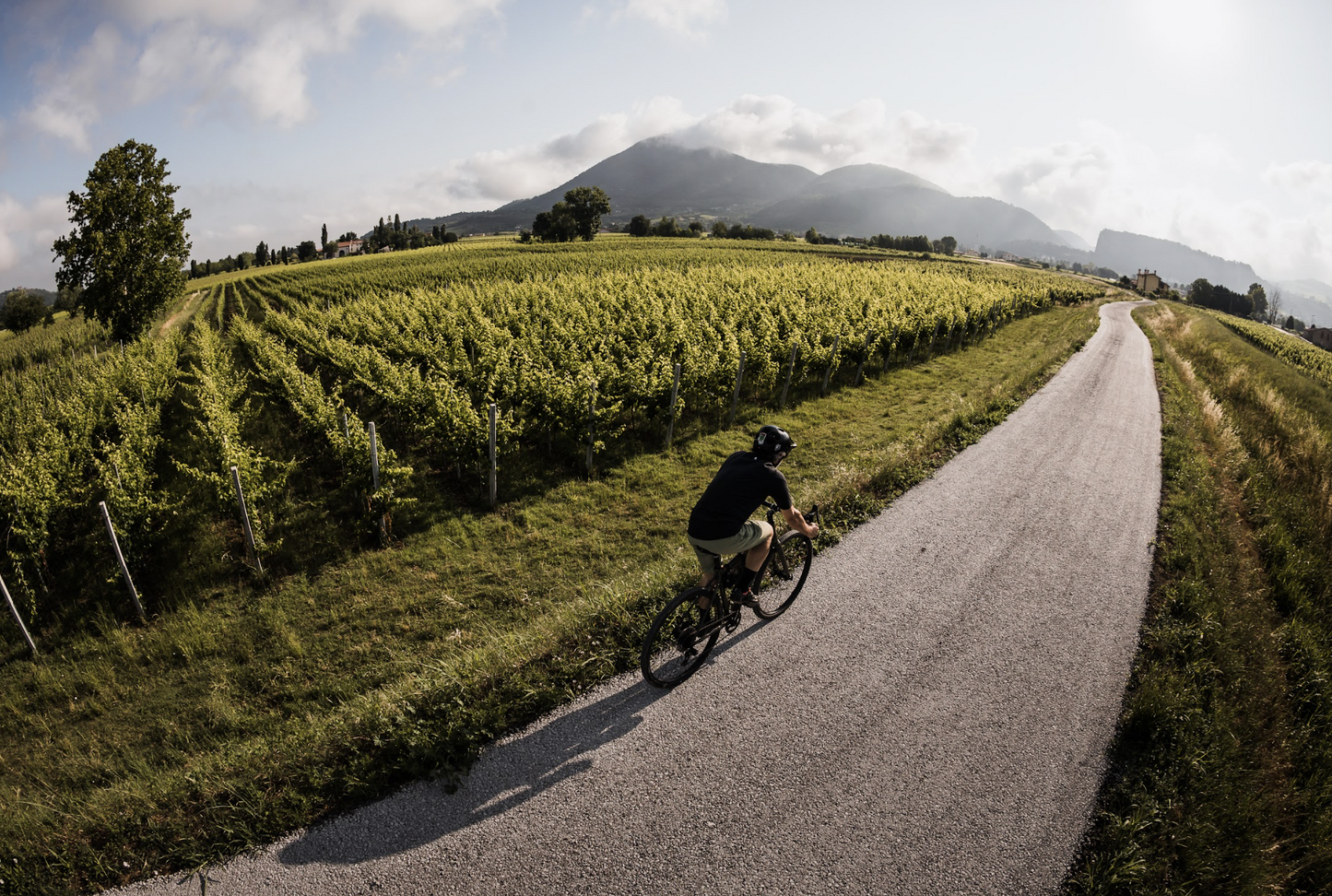 Kona Rove DL - Road / Gravel Bike