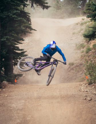 Marin QUAKE Downhill Mountain Bike