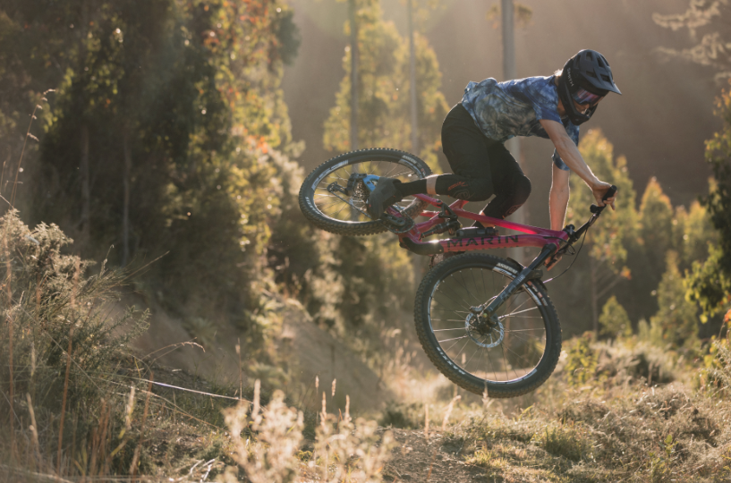 Marin Alpine Trail XR 29 Trail,Mountain Bike