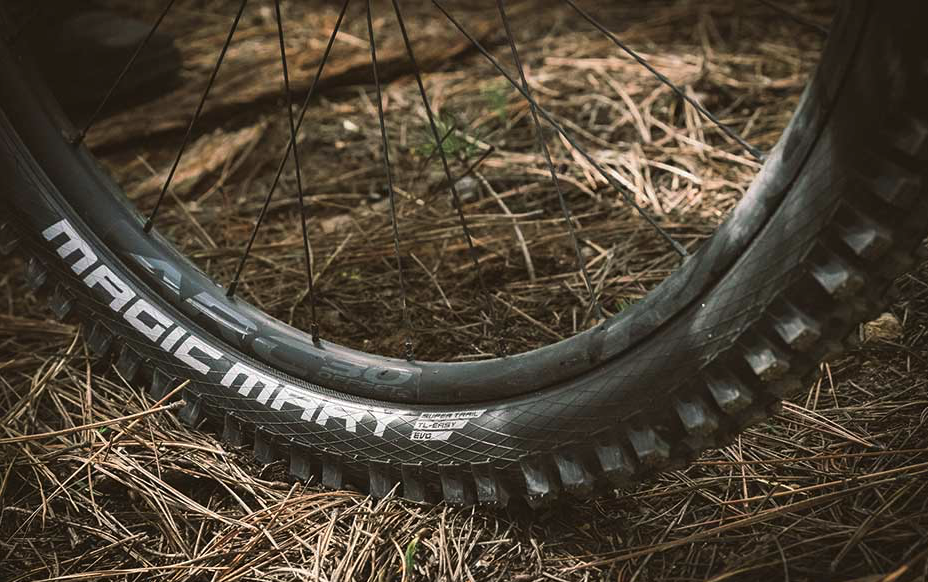 Schwalbe  Magic Mary Perf Bike Park 29x2.4