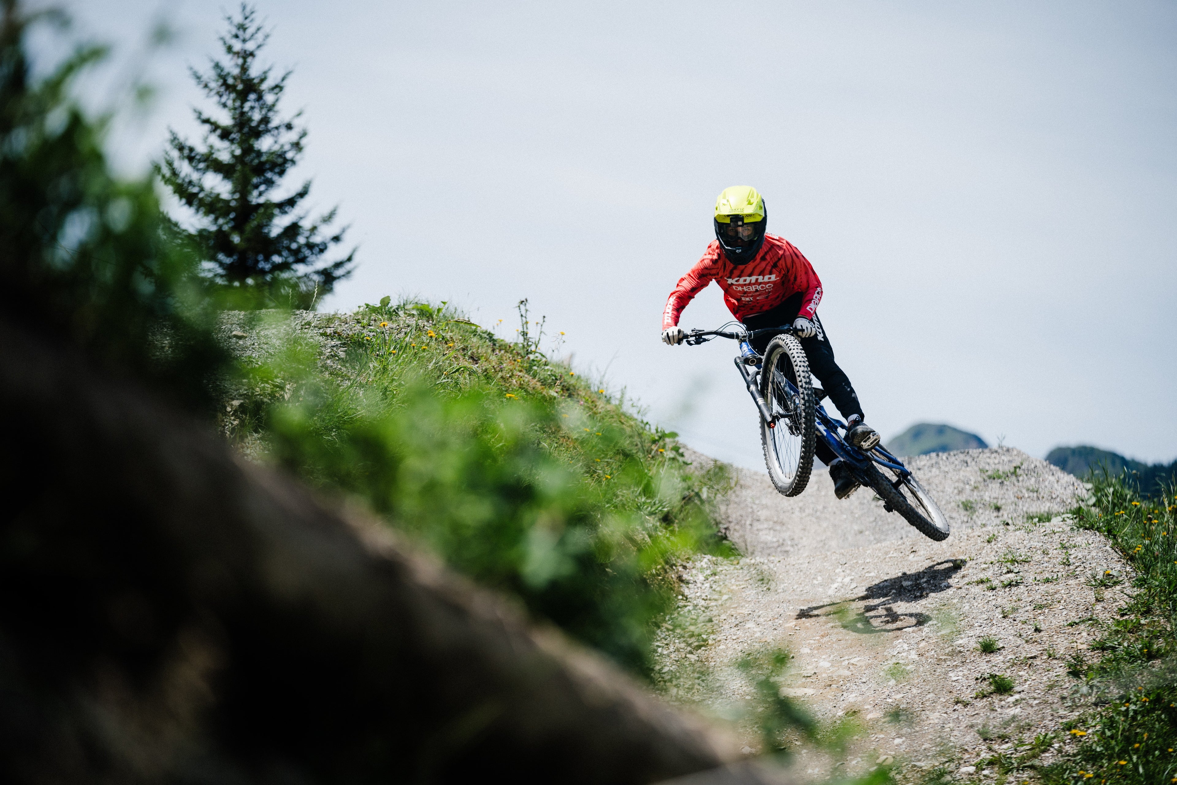 Scott Marin Kona Banshee Schwalbe Madison Bergamont Syncros DMR