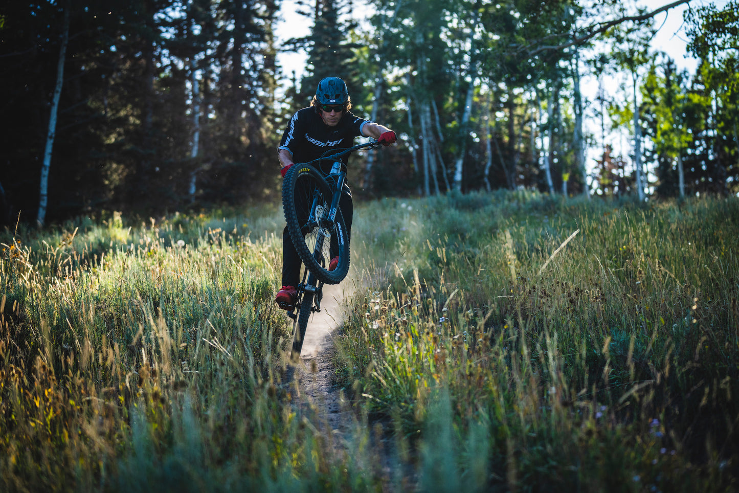 Banshee Paradox V3 Frame