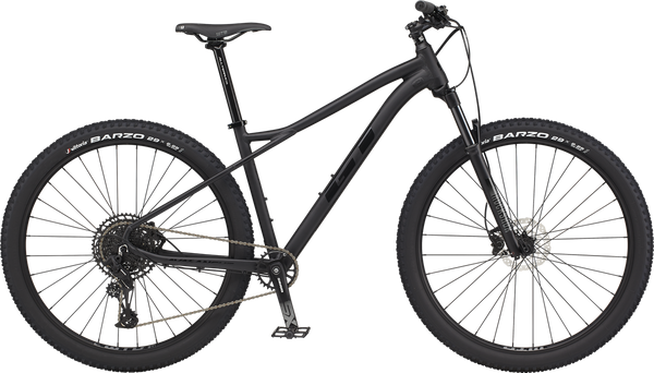 Avalanche expert sales